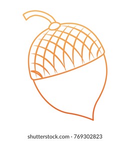 nuts fruits isolated icon
