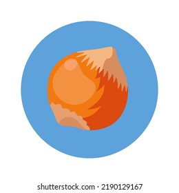 Nuts and fruits of plants. Allergy symptom cartoon vector illustration. Educational banner with man suffering from runny nose, rash, red eyes because of food, dust, insects