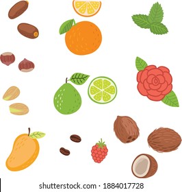 nuts and fruits vector set