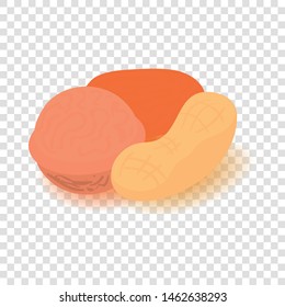 Nuts icon. Cartoon isometric illustration of nuts vector icon for web