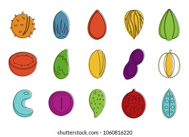 Nuts icon set. Color outline set of nuts vector icons for web design isolated on white background