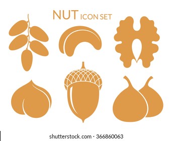 Nuts. Icon Set. Dried Fruit On White Background