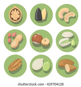 Nuts icon set. peanut, cashew, pistachio and hazelnut