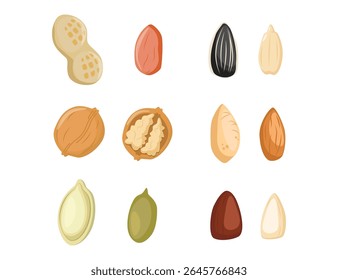Ícone do Nuts. Conjunto de ícones do Nuts. Pistácio, Amêndoa, Avelã, Caju, Noz. Ilustração de vetor.  Sementes de desenhos animados. Sementes de girassol cru orgânicas, sementes de abóbora e pinhões, petiscos saborosos para a dieta vegetariana