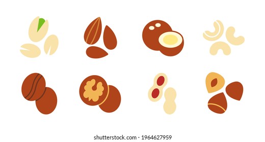 Nuts icon set. Vector flat color icon of nuts isolated on white. Almond cashew coffee hazelnut peanut pistachios walnut coconut collection. Modern design. Healthy food and vitamins