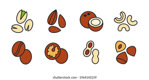 Nuts icon set. Vector linear color icon of nuts, contour, outline isolated on white. Almond cashew coffee hazelnut peanut pistachios walnut coconut collection. Modern design. Healthy food and vitamins