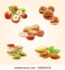 nuts icons