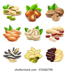 Nuts icons detailed photo realistic vector set