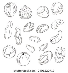 Nuts icons in flat, line art style. Hand drawn logo of hazelnut, pistachio, almond, cashew, macadamia, walnut, peanut, pecan. Vector illustration isolated on a white background.