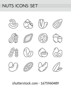 Nuts icons line outline vector illustration set. Shapes and cross-sections