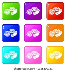 Nuts icons set 9 color collection isolated on white for any design