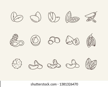 Nuts icons. Set of line icons on white background. Cocoa bean, Brazil nuts, soy nuts. Dieting concept. Vector illustration can be used for topics like healthy eating, organic food, nutrition