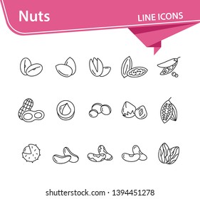 Nuts icons. Set of line icons on white background. Cocoa bean, Brazil nuts, soy nuts. Dieting concept. Vector illustration can be used for topics like healthy eating, organic food, nutrition