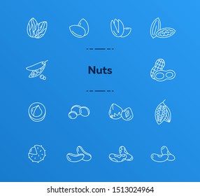Nuts icons. Set of line icons on white background. Cocoa bean, Brazil nuts, soy nuts. Dieting concept. Vector illustration can be used for topics like healthy eating, organic food, nutrition