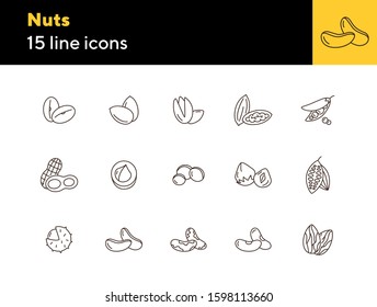 Nuts icons. Set of line icons on white background. Cocoa bean, Brazil nuts, soy nuts. Dieting concept. Vector illustration can be used for topics like healthy eating, organic food, nutrition