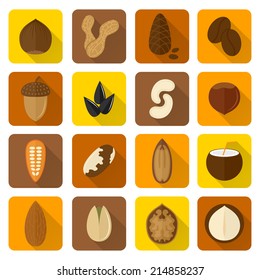 Nuts icons set with walnut hazelnut pistachio isolated vector illustration