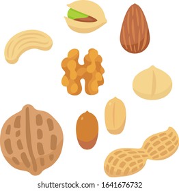 Nuts illustration set (almond, peanuts, walnut, cashew, macadamia nuts, pistachio)