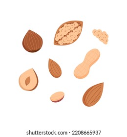 Conjunto de ilustraciones de nueces: avellanas, cacahuete, anacardos, nuez, almendra Ilustración vectorial plana aislada en fondo blanco
