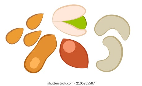 Nuts. Nuts isolated icon set on white background. Vector flat illustration.