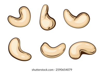 Nuts isolated vector illustration. Cashew set isolated on white background. Nuts Cartoon Style. Organic food concept. Hand Drawn vector illustration