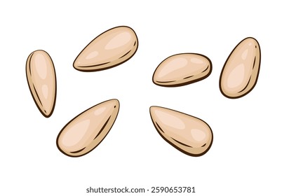 Nuts isolated vector illustration. Pine nuts set isolated on white background. Nuts Cartoon Style. Organic food concept. Hand Drawn vector illustration