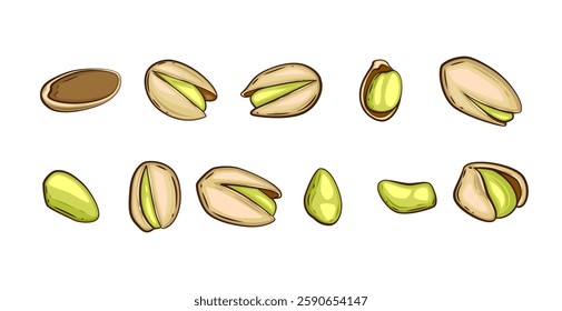 Nuts isolated vector illustration. Pistachio set isolated on white background. Nuts Cartoon Style. Organic food concept. Hand Drawn vector illustration