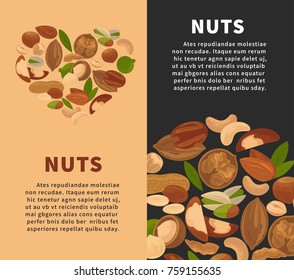 Nuts kernels nutrition nut food snacks vector flat posters