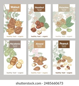 Nuts labels set. Vector illustration Hazelnut, Macadamia, Pistachios, Almond, Walnut, Peanuts. Design for packaging.