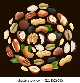 nuts laid out in a circle on a dark background. vector graphics