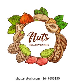 Nueces y judías vectoriales de diseño de alimentos. Maní, almendras y pistacho, avellanas, nueces y maní redondo con semillas y granos secos, cáscaras de nueces y granos