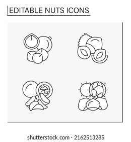  Iconos de línea de tuercas establecidos. Macadamia y castañas brasileñas, avellanas, castañas. Ingredientes para la preparación de alimentos.Concepto nutricional equilibrado. Ilustración vectorial aislada. Trazo editable