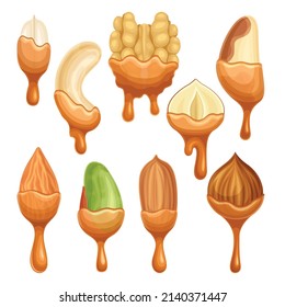 Nuts in liquid melted chocolate or caramel set. Nutritious natural sweet dessert vector illustration
