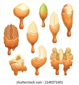 Nuts in liquid melted chocolate set. Nutritious natural sweet dessert vector illustration