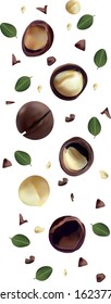 Nuts macadamia isolated on white background. Nuts shelled and unshelled with green leaf. Tasty macadamia nuts. Organic macadamia. Vector illustration.