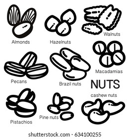 NUTS Many kinds of nuts are illustrated as an simple icon.