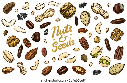 Nuts mix background. Seeds and granule, corn and grain. Hazelnut, Walnut, Almonds. Food concept. Top view. Vintage poster. Engraved hand drawn sketch. Set of doodle icons, signs in Monochrome style.