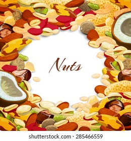 Nuts mix with coconut chestnut nutmeg peanut vector illustration