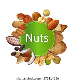 Composición redonda de varias nueces aisladas en la ilustración vectorial de fondo blanco. Pecan, almendras, coco, nuez, bacalao, avellanas, maní. Ingredientes orgánicos, bocadillos vegetarianos tradicionales