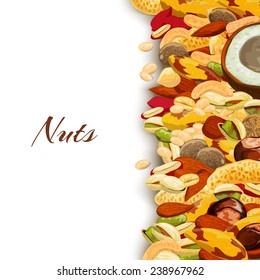 Nuts mix with peanut hazelnut pistachio coconut background vector illustration