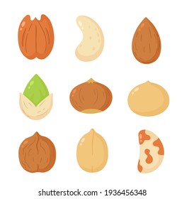 Nuts mix set collection. Vector flat peanut,nut cartoon illustration icon design. Isolated on white background. Peanut, hazelnut, walnut, Brazil nut, pistachio, cashew, pecan, almond bundle concept
