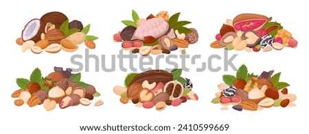 Nuts mix set. Seeds and nuts bunches, raw walnut, macadamia and almond mix, vegetarian diet organic snack flat vector illustration set. Tasty nut mixes