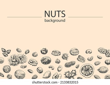 Nuts mix Vector background Hand drawn elements. Sketch almond, brazil nut, nutmeg, macadamia, cashew, pecan, peanut, pistachio, chestnut. Illustration for design