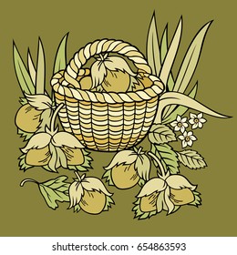 Nuts nature cartoon vector hand drawn illustration