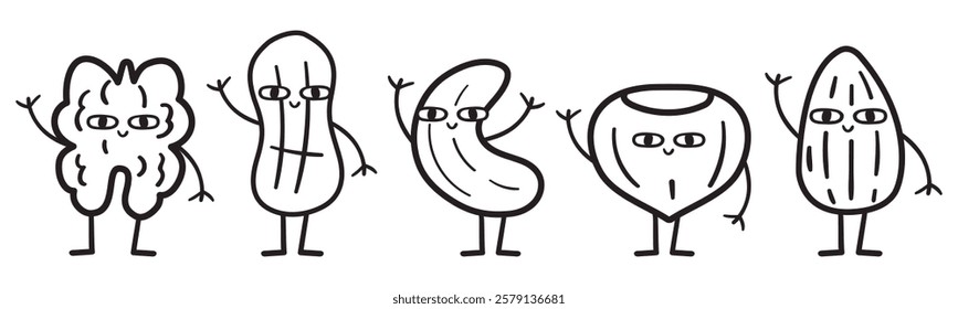 Nuts. Nice characters. Outline isolated icons. Hand drawn illustrations on white background.