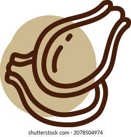 Nuts in nutshell, illustration, vector, on a white background.