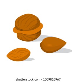 Nuts on the table. Walnut, hazelnut and almond. Fresh snack for good health. Organic nutrition. Vector illustration in cartoon style