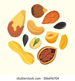 Nuts on white background. Cartoon isolated vector. Healthy food