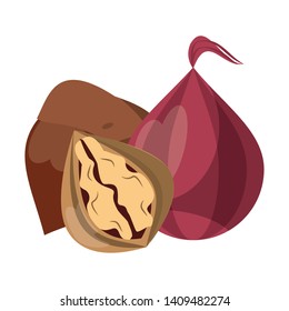 Nuts and onion natural snacks food cartoon vector illustration graphic design