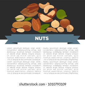 Nuts organic nutrition and raw diet information poster design template.