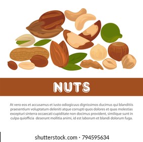 Nuts organic nutrition and raw diet information poster design template.